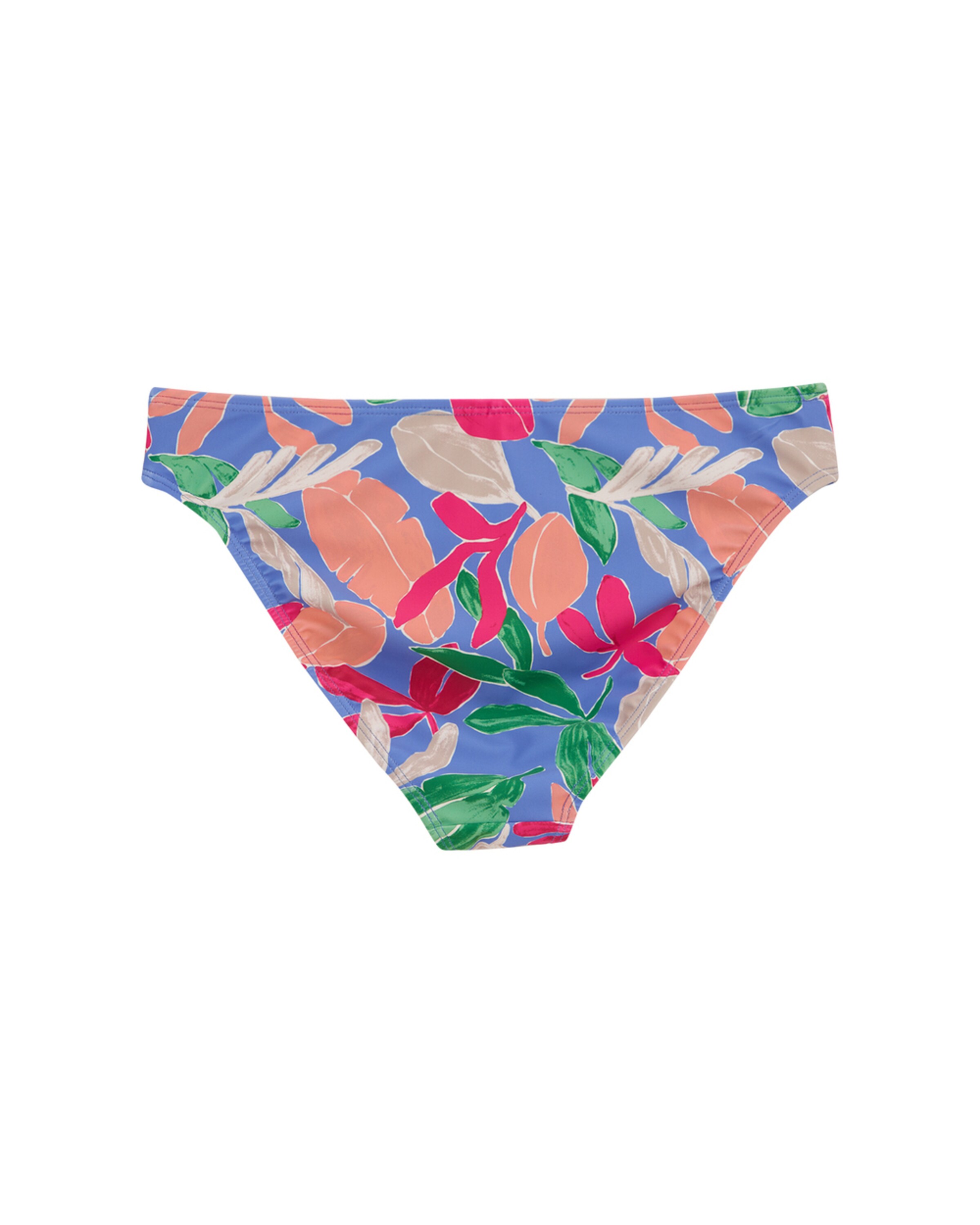 WE Fashion Bikiinipüksid, värv segavärvid