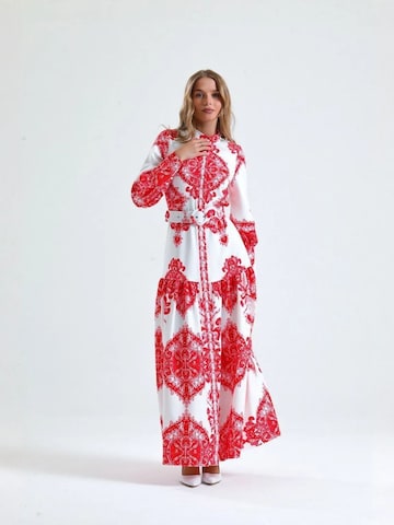 MSN Collection Dress 'Maxi' in Mixed colors: front