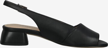 PETER KAISER Strap Sandals in Black