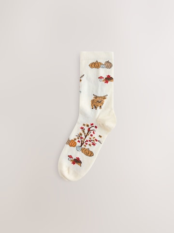 Next Sokken in Beige