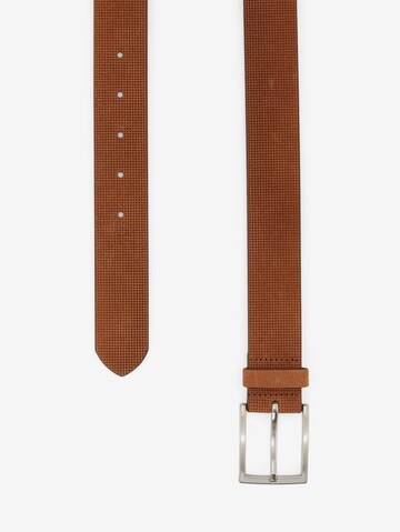 TOM TAILOR Belt in Brown