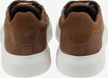 GEOX Sneakers in Brown