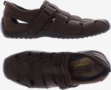 CAMEL ACTIVE Sandalen 46 in Braun: Vorderseite
