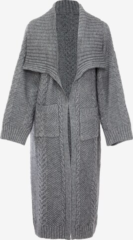 Cardigan caissa en gris : devant