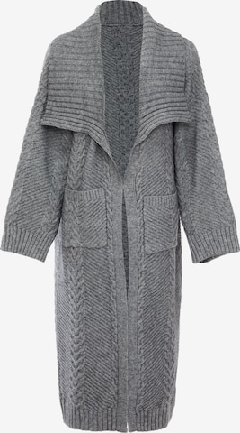 caissa Knit Cardigan in Grey: front