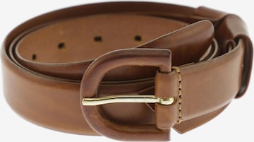 Max Mara Belt in One size in Brown: front