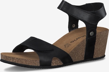 TAMARIS Strap Sandals in Black: front