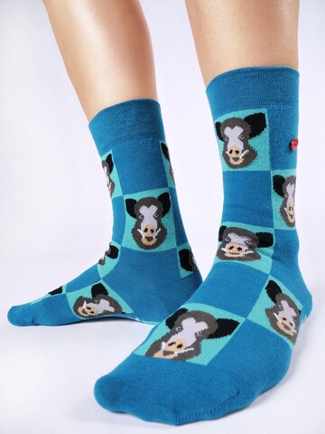 UNABUX Freizeitsocken ' Mix ' in Mischfarben