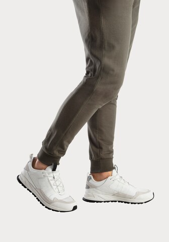 Tapered Pantaloni di s.Oliver in verde