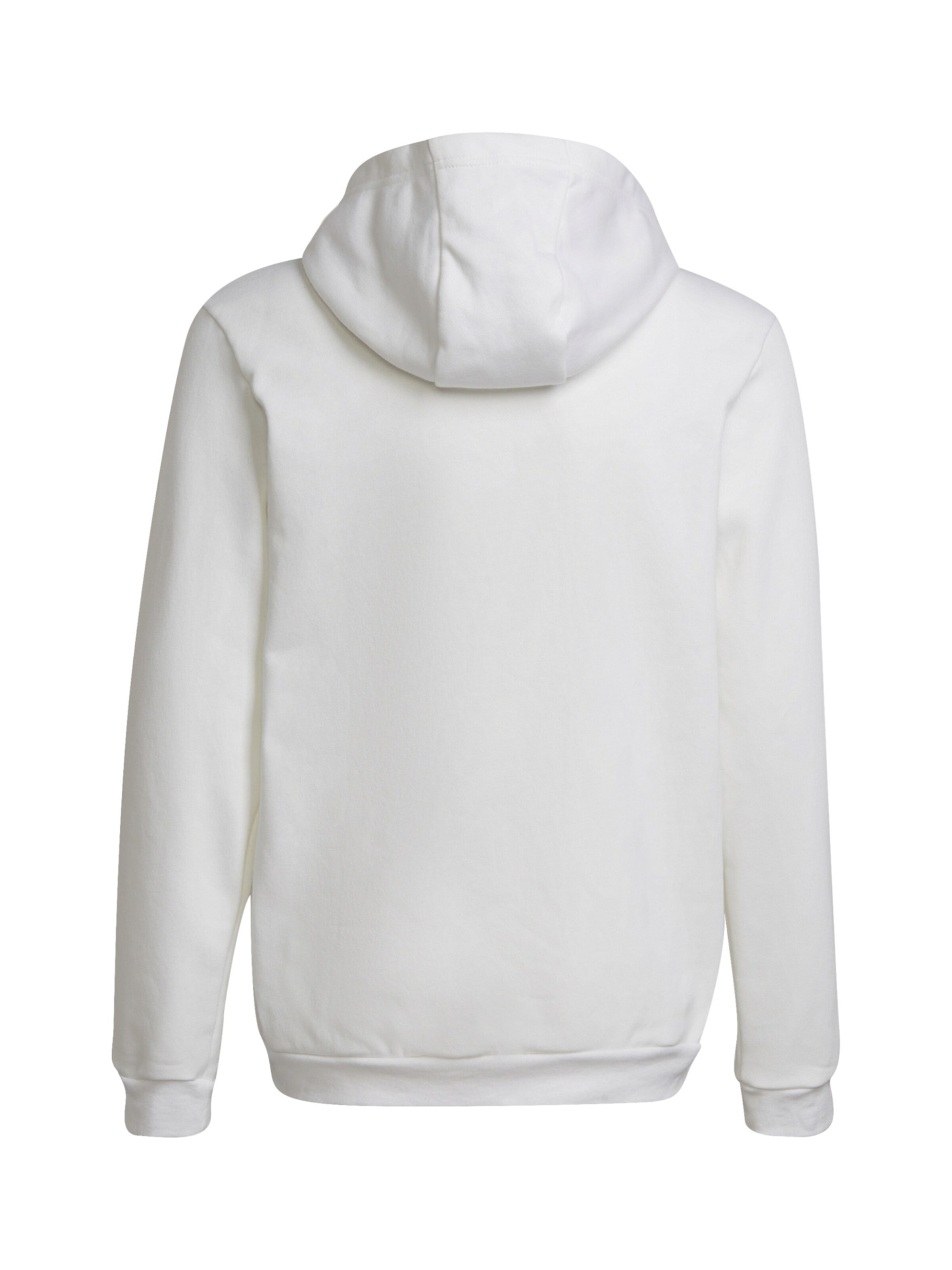 ADIDAS PERFORMANCE - Camiseta deportiva 'Entrada 22' en blanco