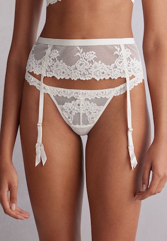 INTIMISSIMI Garter Belt in White: front