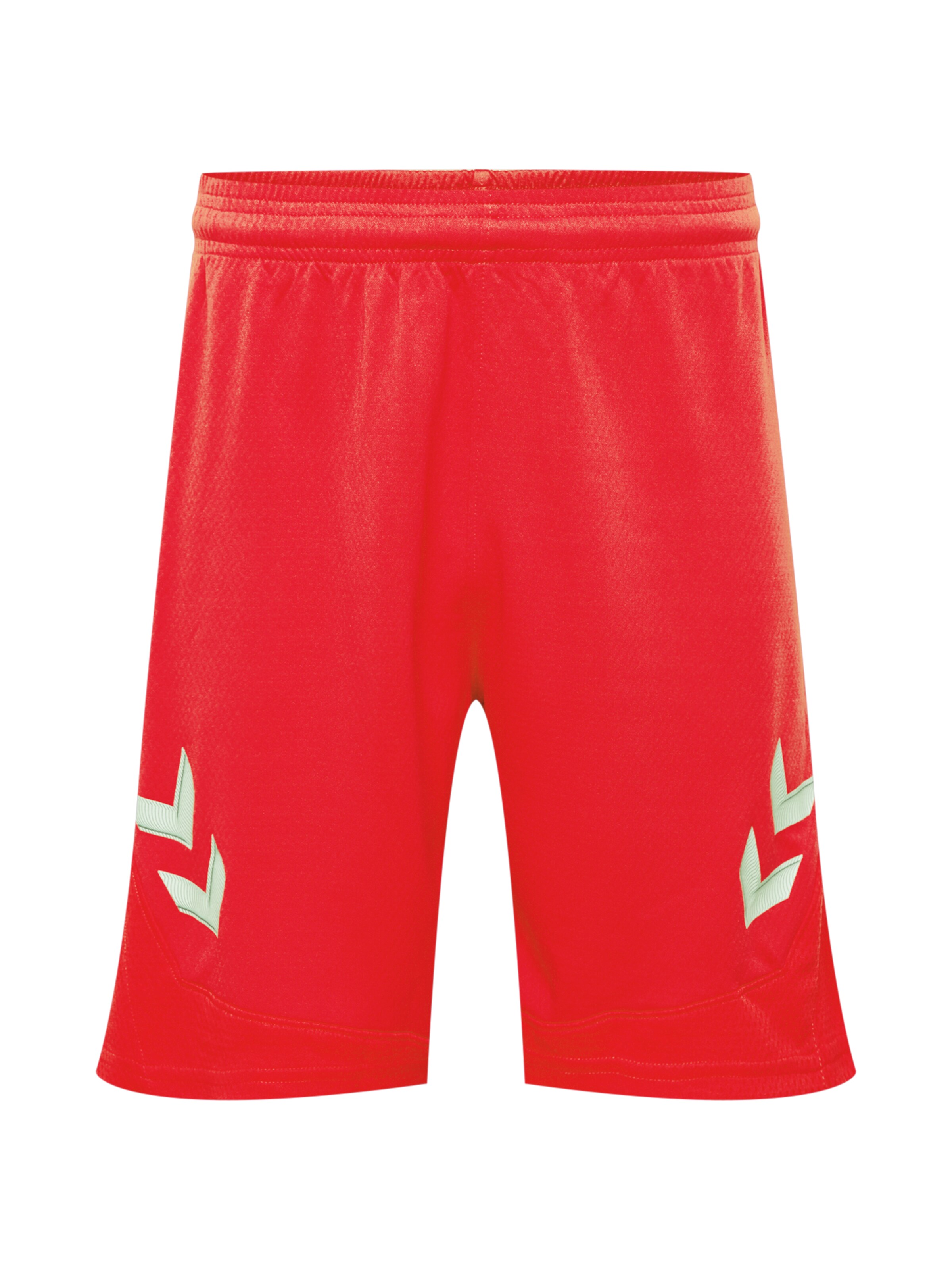 Hummel Sports trousers 'Lead' in Red: front