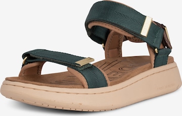 WODEN Sandaal 'Line' in Groen: voorkant