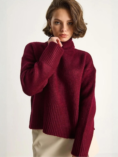 Bianco Lucci Pull-over 'Pullover' en S-M en bourgogne, Vue avec produit
