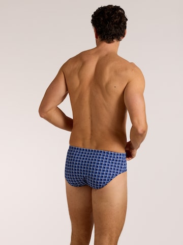 wavebreaker Swim Trunks in Blue