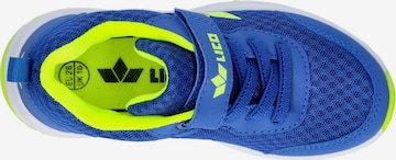 LICO Low shoe in Blue