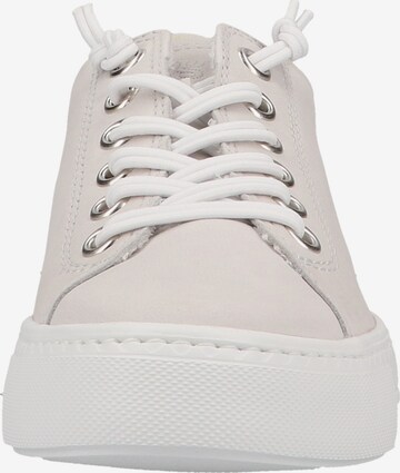 Paul Green Sneaker in Beige