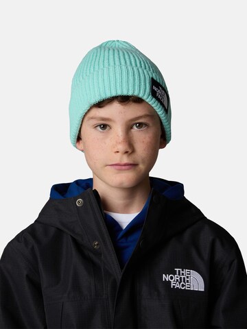 Berretto di THE NORTH FACE in blu: frontale