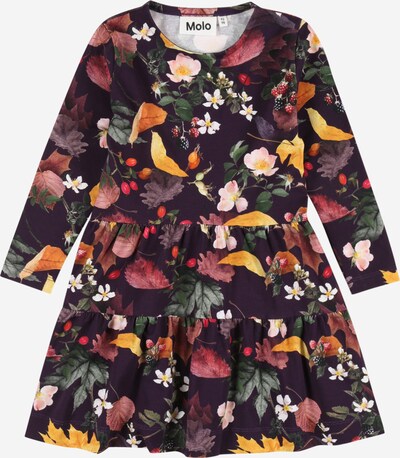 Molo Φόρεμα 'Chia' σε μελιτζανί / κόκκινο / μαύρο, Άποψη προϊόντος