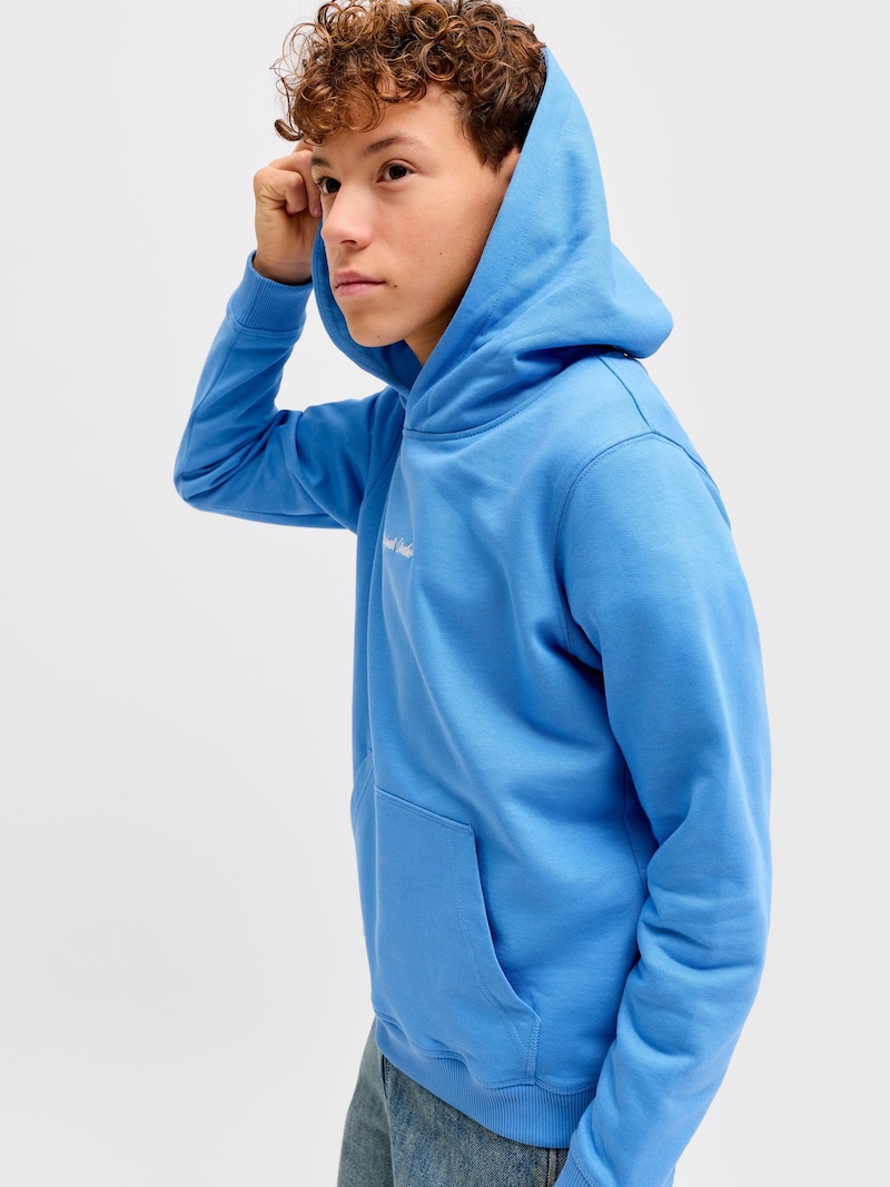 JACK & JONES JUNIOR JORNORREBRO TYPO BACK SWEAT HOOD SN JACK & JONES JUNIOR JORNORREBRO TYPO BACK SWEAT HOOD SN