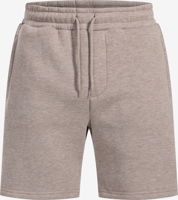 Pantalon de sport Smilodox en gris : devant