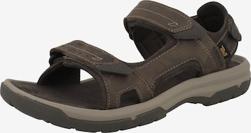TEVA Sandals 'Langdon' in Brown: front