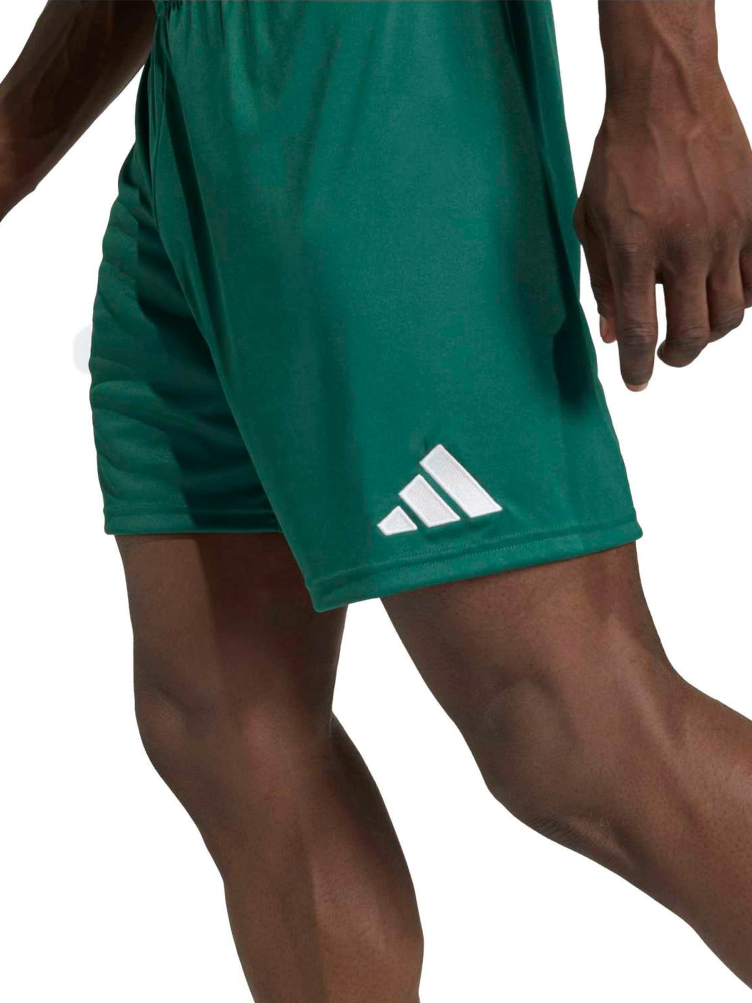 ADIDAS PERFORMANCE - regular Pantalón deportivo 'ENT26' en verde