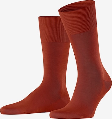 FALKE Socken 'ClimaWool' in Grau: Vorderseite