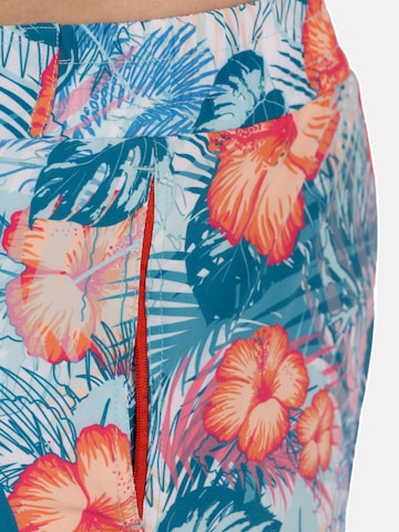 Shorts de bain Frozen Cape en mélange de couleurs