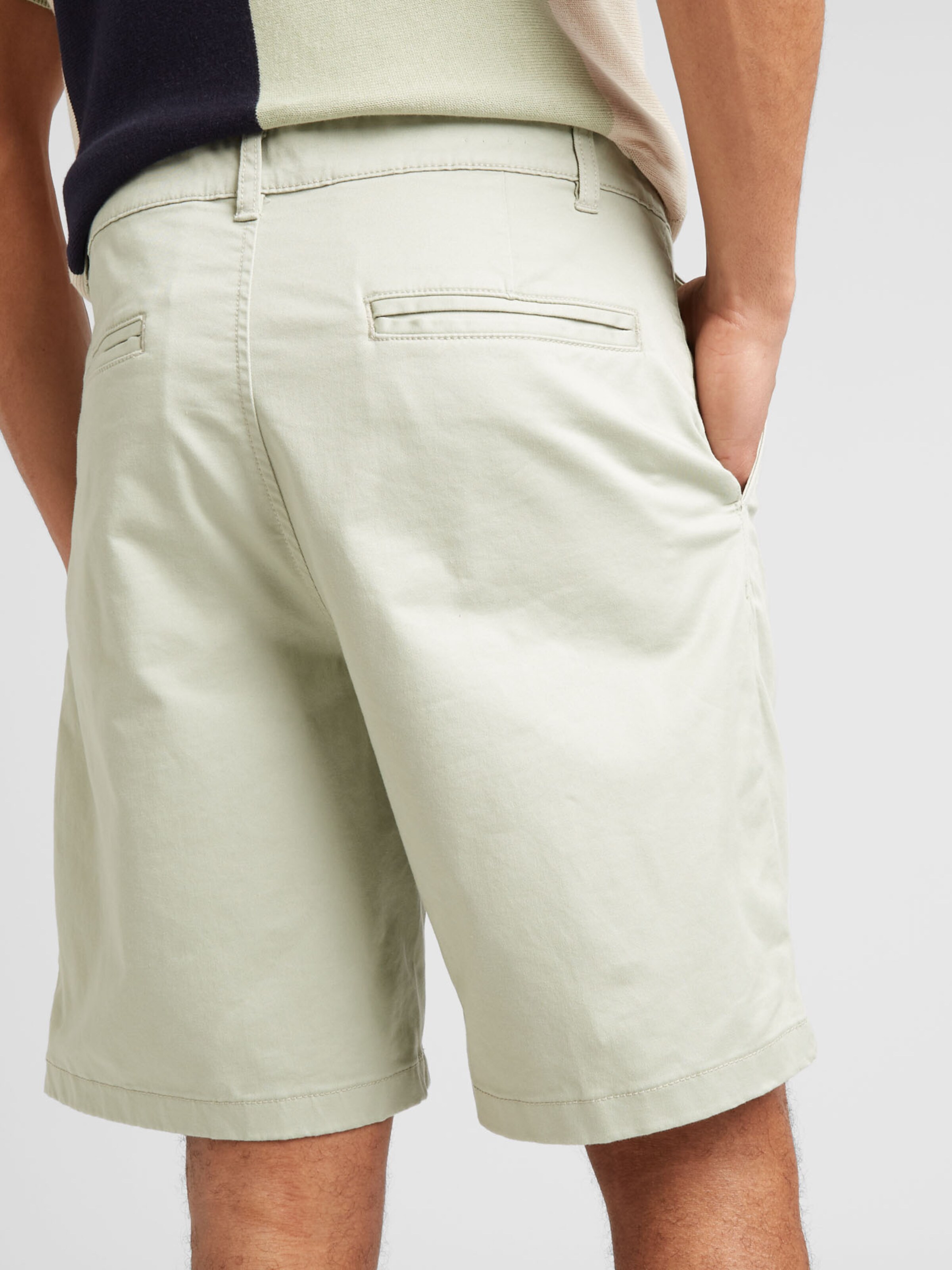 Regular Pantalon chino DAN SELECTED HOMME en Vert Pastel ABOUT YOU