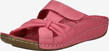 ANDREA CONTI Muiltjes in Roze: voorkant