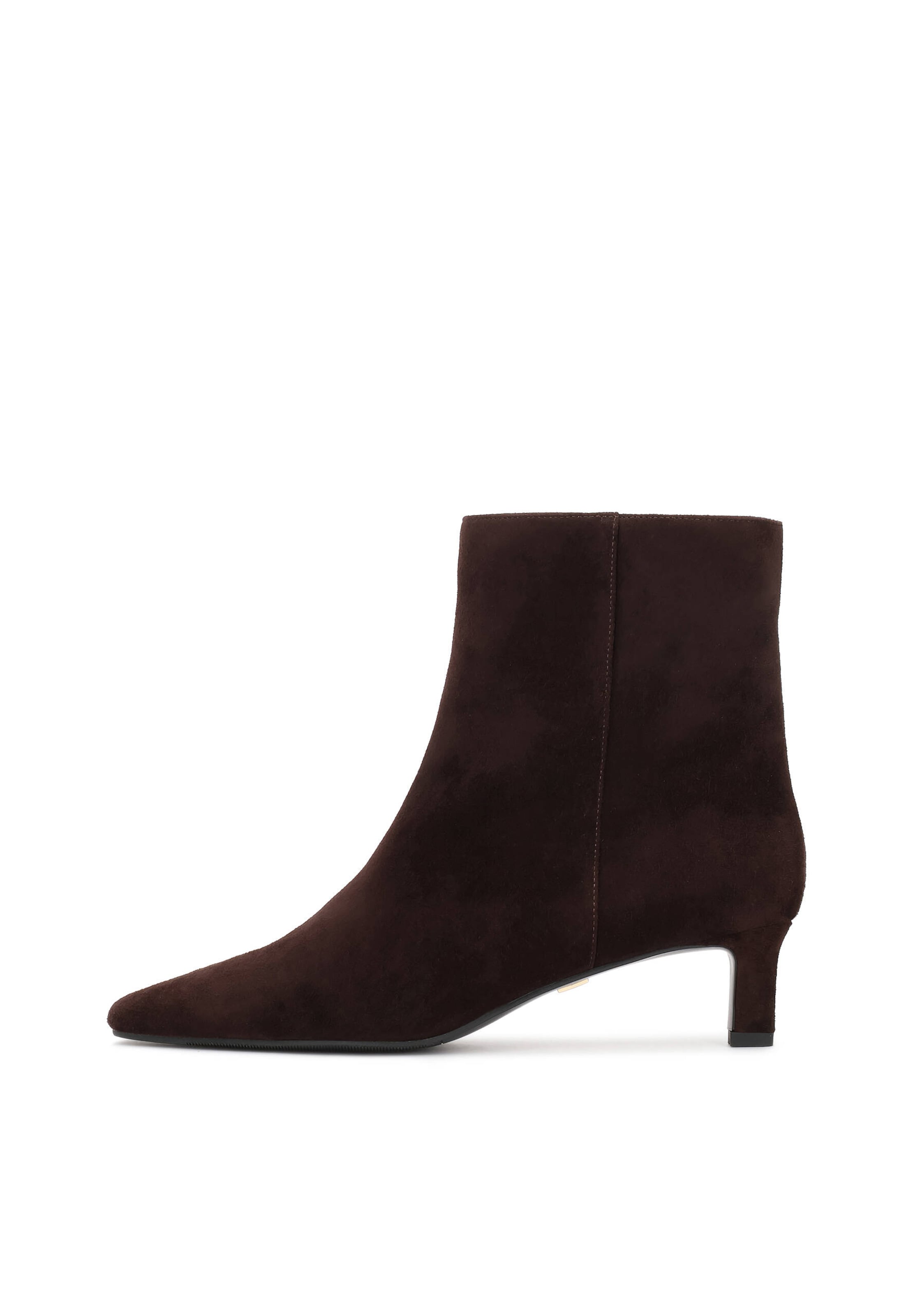 Ankle boots 'EDITIONS' di Kazar in marrone: frontale