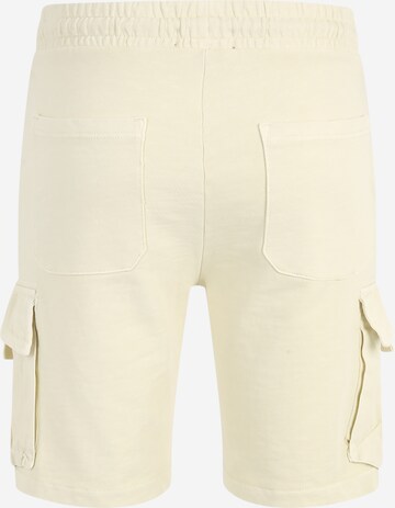 regular Pantaloni cargo 'NICKY' di Only & Sons in beige