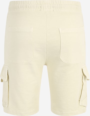 Only & Sons Regular Hose  'NICKY' in Beige