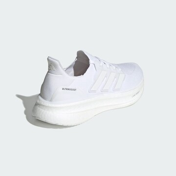 Chaussure de course 'Ultraboost 5' ADIDAS PERFORMANCE en blanc