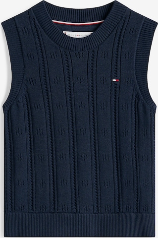 TOMMY HILFIGER Pullover in Blau: Vorderseite