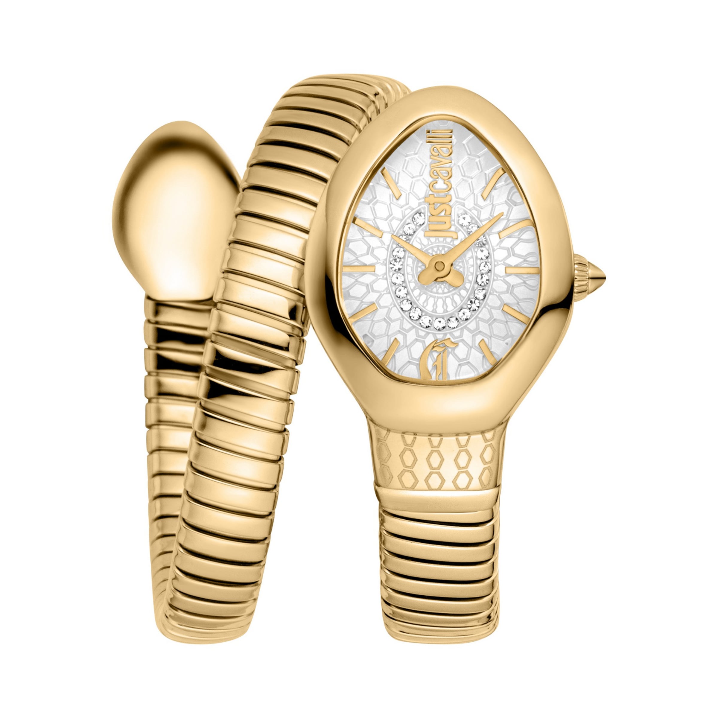 Just Cavalli Time Analog Watch in Gold: front