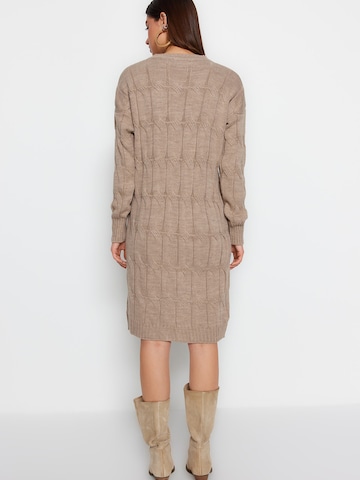 Trendyol Kleid in Braun