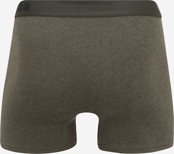 Superdry Boxershorts in Grün