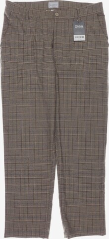 Iriedaily Pants in XL in Brown: front