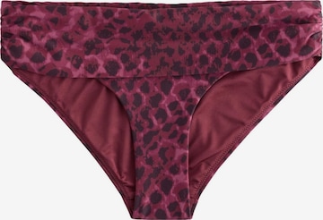 Next Bikinitrusse i lilla: forside