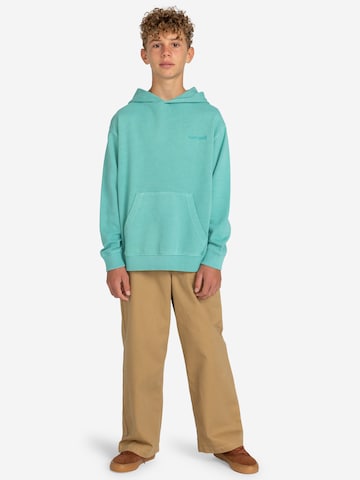 ELEMENTSweater majica 'CORNELL 3.0' - zelena boja