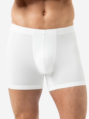 Mey Boxer shorts 'Softball' in White