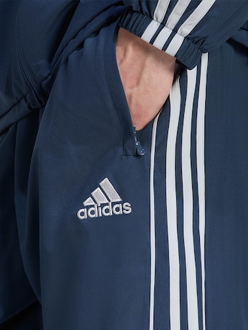 ADIDAS Regular Joggers in Blau