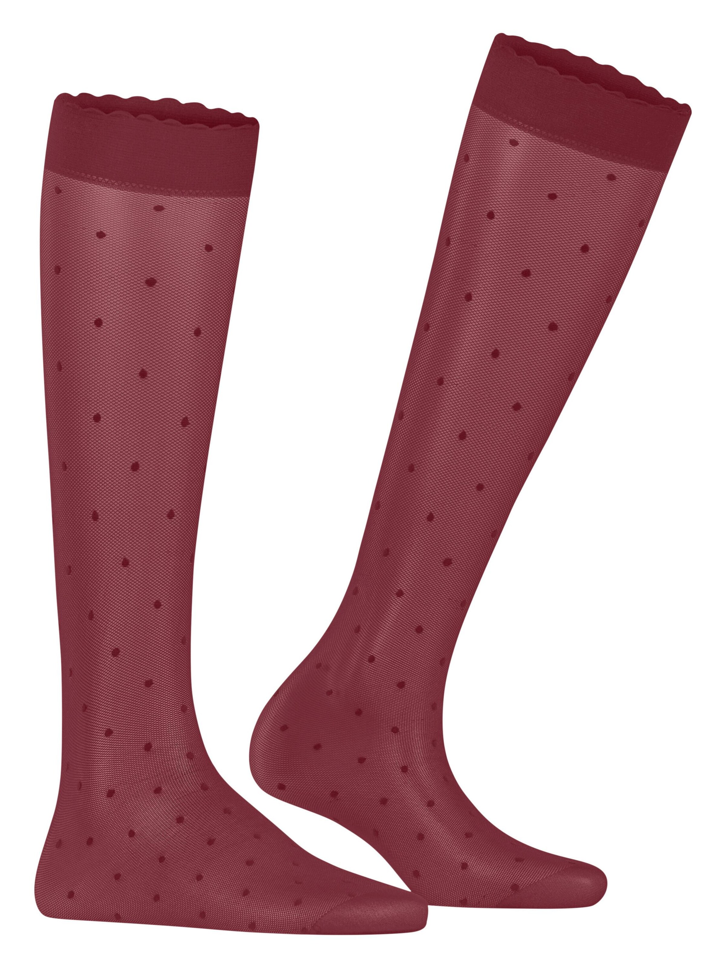 FALKE Over the Knee Socks 'Dot' in Red