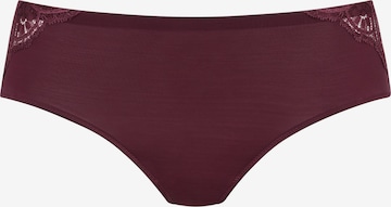 Mey Boyshorts 'Poetry' in Purple: front