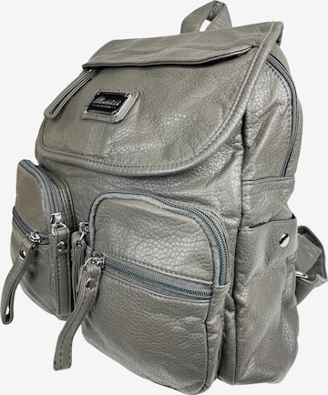Kumixi Backpack in Grey: front