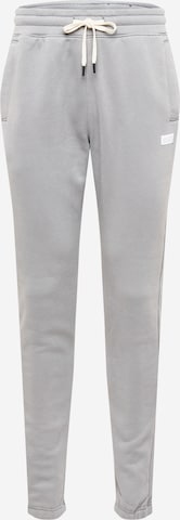 HOLLISTER Pants in Grey: front