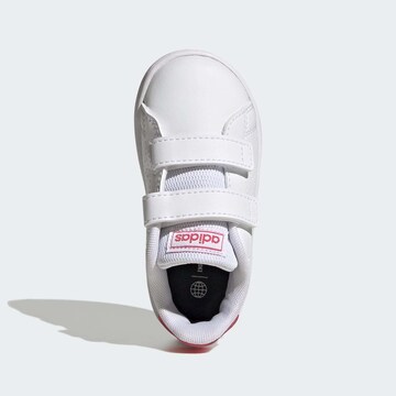 Baskets 'Advantage CF' ADIDAS ORIGINALS en blanc