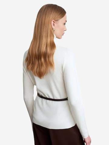 Pullover 'Pullover' di Dilvin in beige